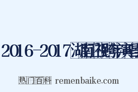 2016-2017湖南卫视跨年演唱会是什么意思的图片